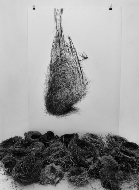 Installation
